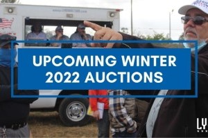 Upcoming winter 2022 auctions