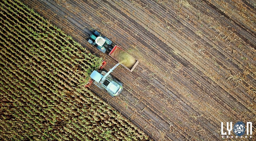 Stay healthy during harvest season