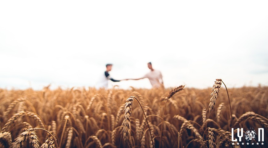 Finding the right farm sitter