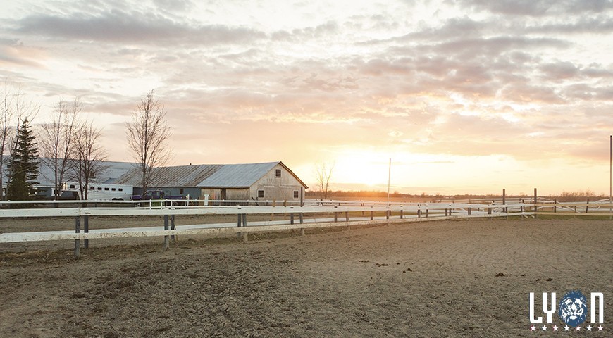 Make the most of your empty land