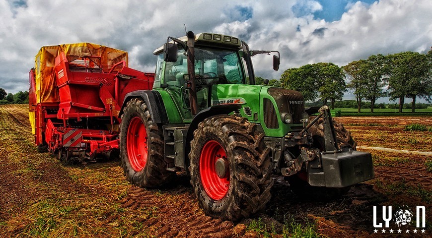 Hauling After Auction